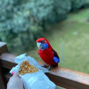 Meet your Posher, Fiona